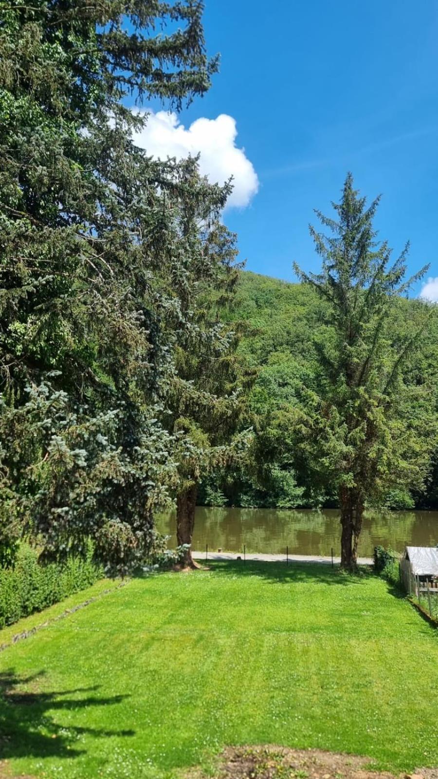 فيلا Le Sapin Bleu Hastiere-par-dela المظهر الخارجي الصورة